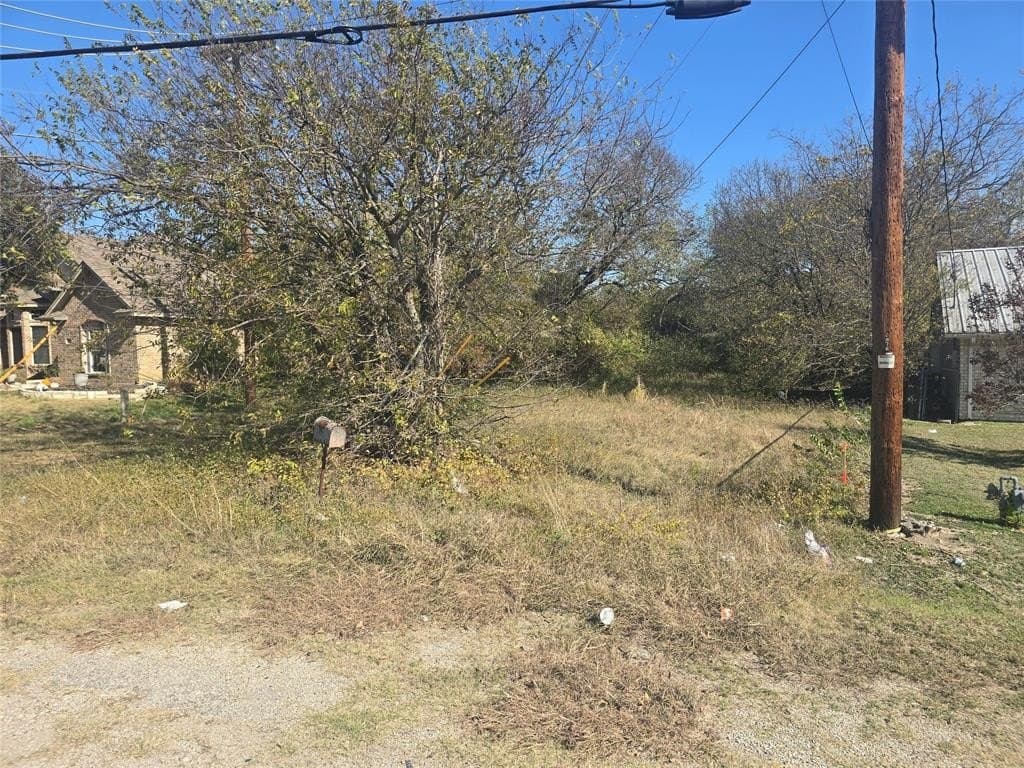 0.15 acres in Dallas County - photo 2