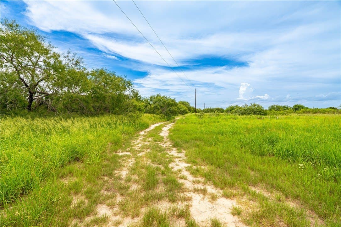 19.85 acres in Kleberg County - photo 5