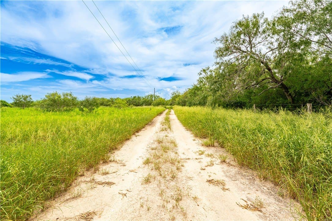 19.85 acres in Kleberg County - photo 4