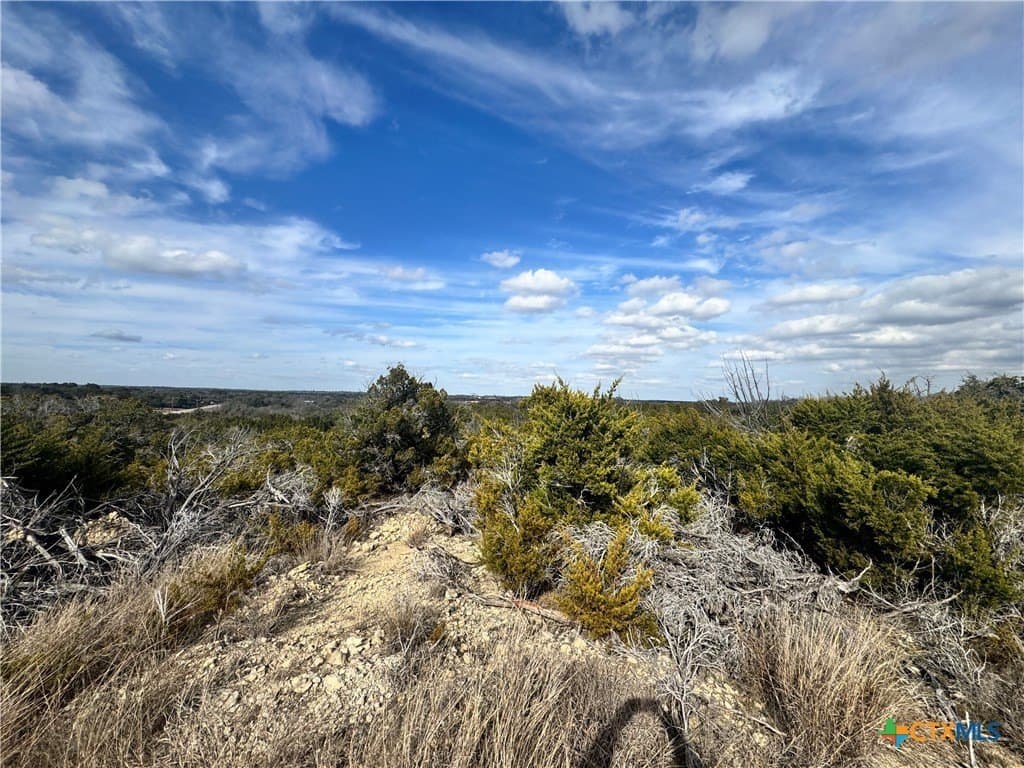 12.69 acres in Bell County - photo 24