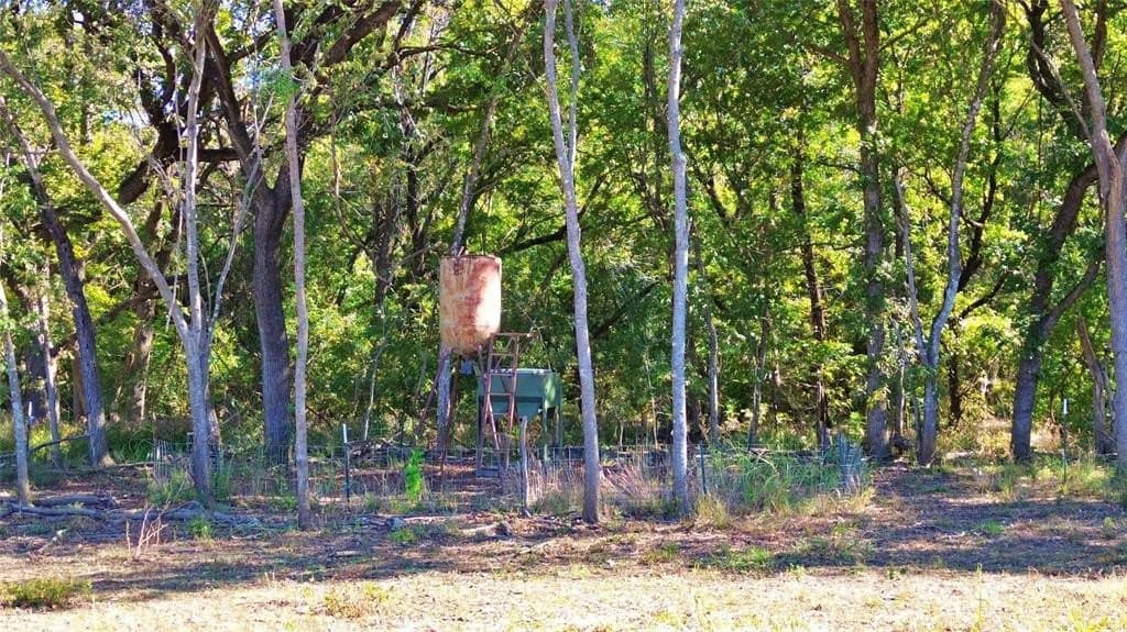 16.45 acres in Ellis County - photo 5