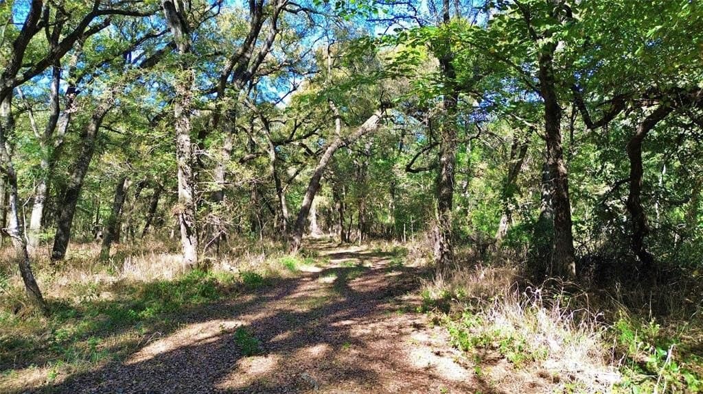 16.45 acres in Ellis County - photo 12
