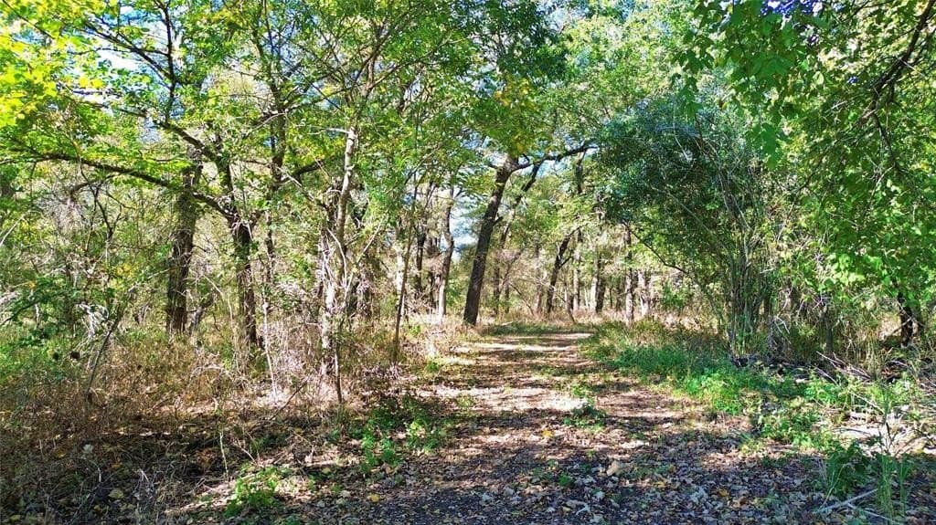 16.45 acres in Ellis County - photo 11