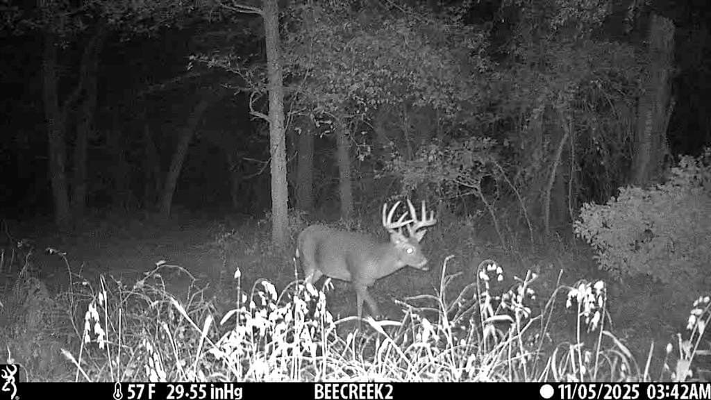16.45 acres in Ellis County - photo 26