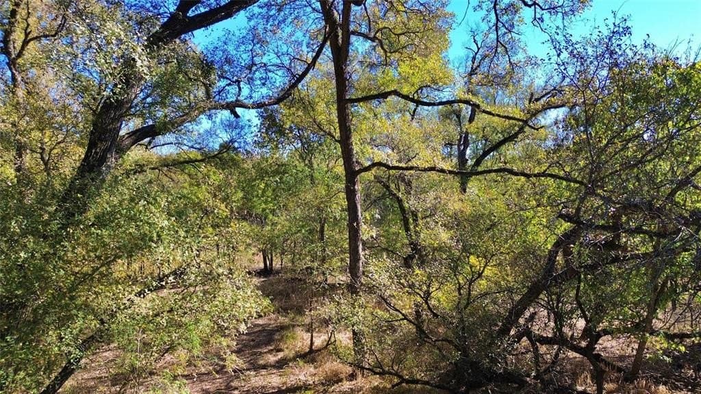 16.45 acres in Ellis County - photo 4