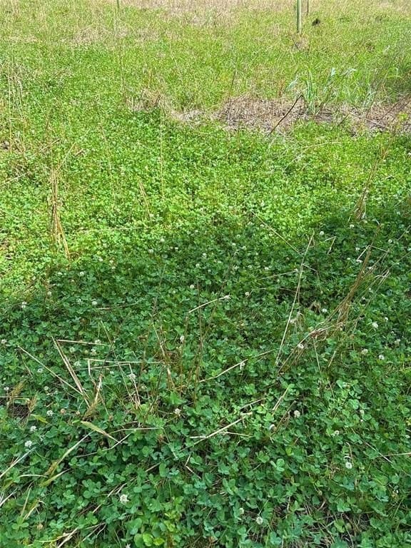 16.45 acres in Ellis County - photo 10