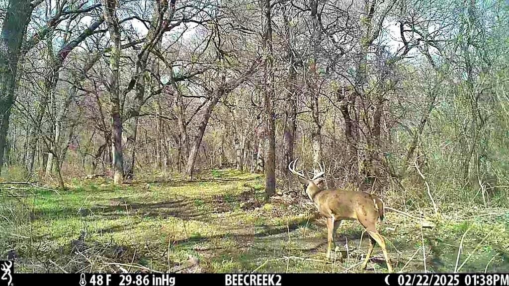 16.45 acres in Ellis County - photo 14