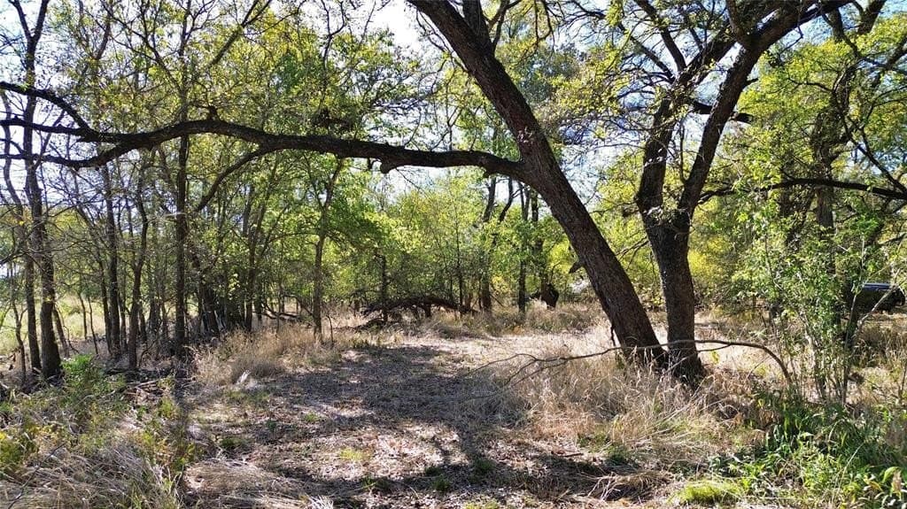 16.45 acres in Ellis County - photo 2