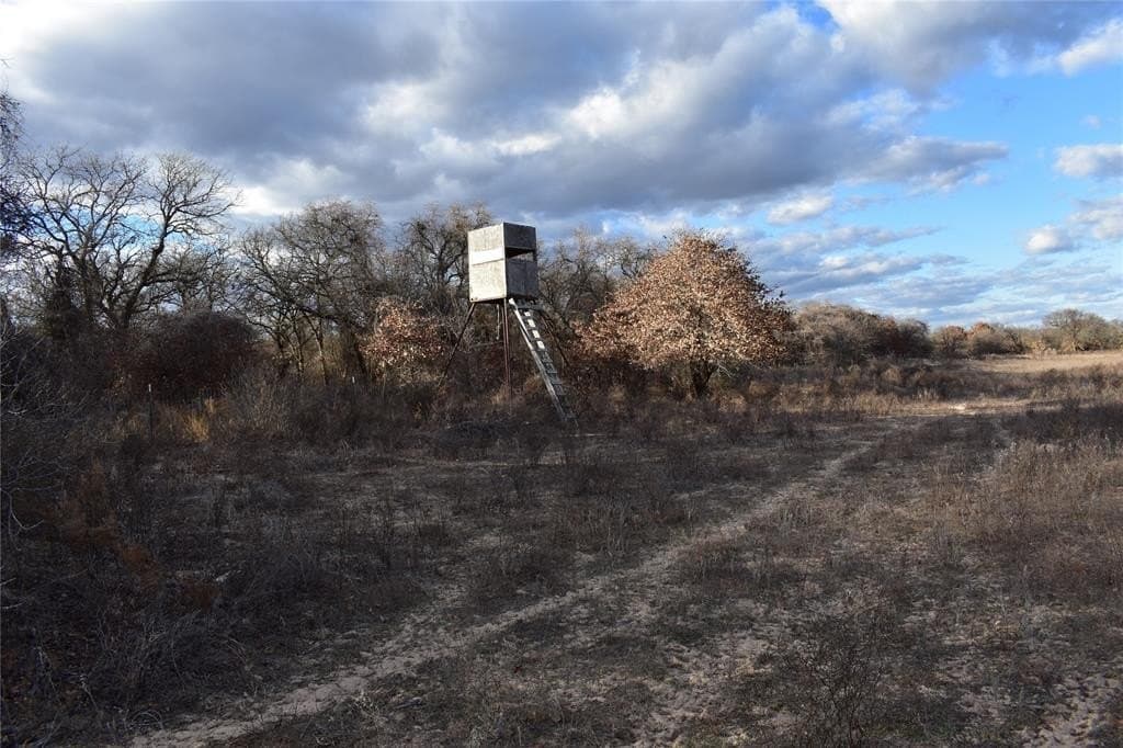 62.31 acres in Erath County - photo 9