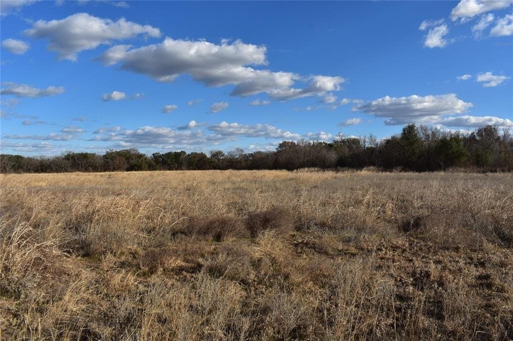 62.31 acres in Erath County - photo 23