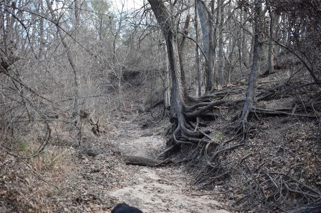 62.31 acres in Erath County - photo 7