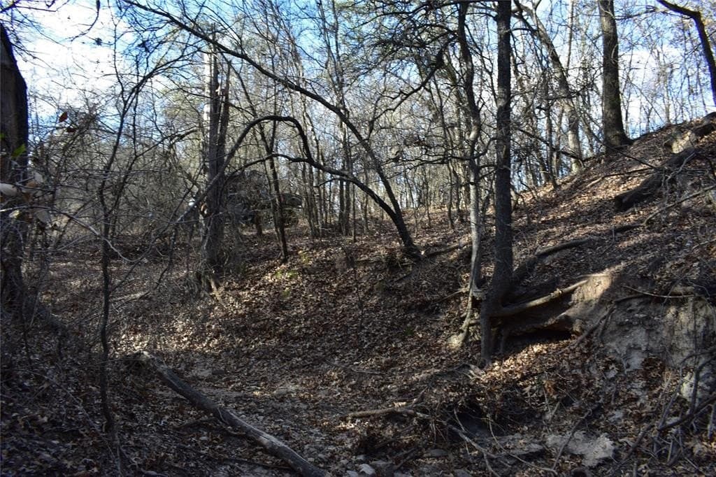 62.31 acres in Erath County - photo 6