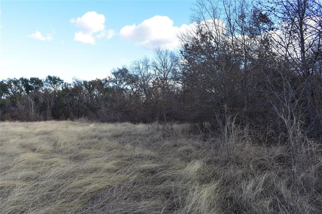 62.31 acres in Erath County - photo 17