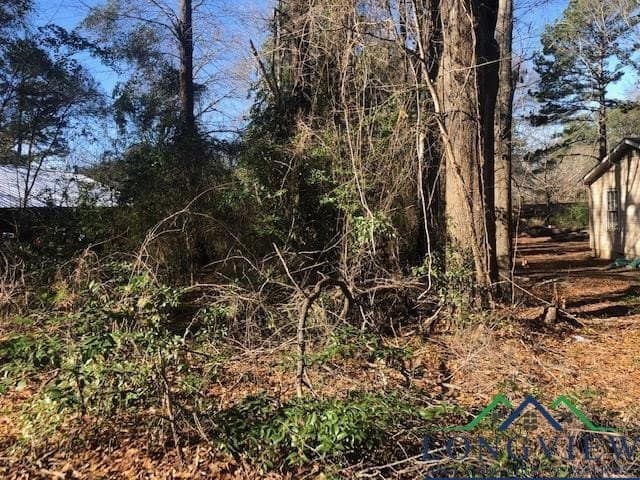 0.02 acres in Rusk County - photo 2