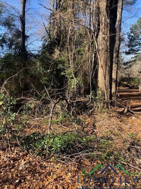 0.02 acres in Rusk County - photo 3