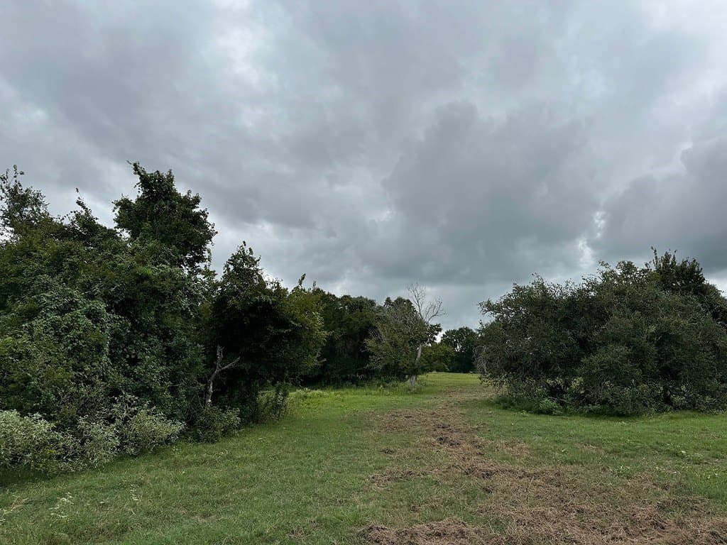 223.56 acres in Fayette County - photo 14