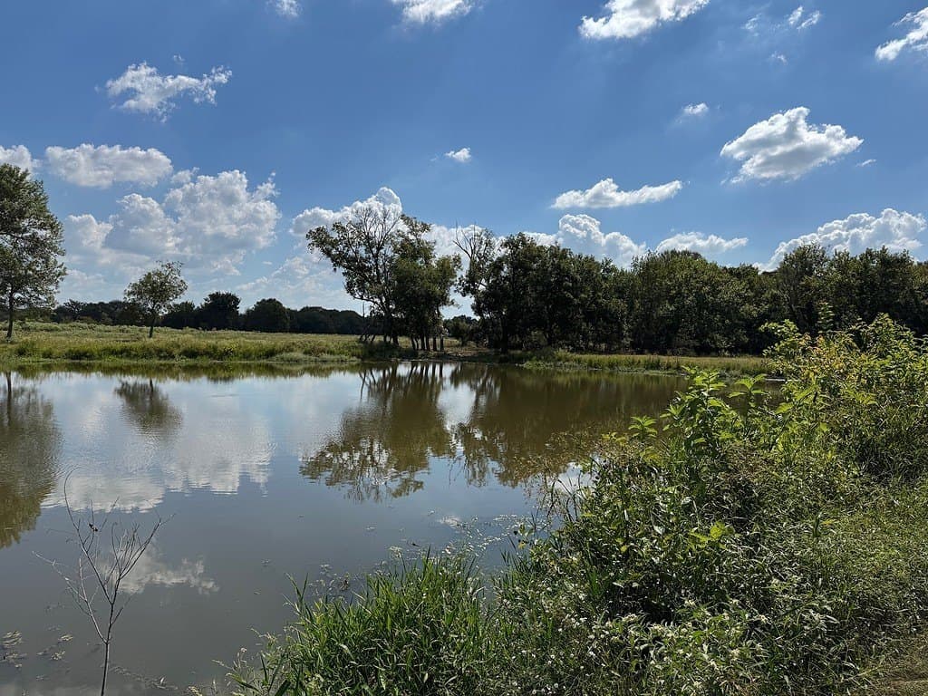 223.56 acres in Fayette County - photo 6