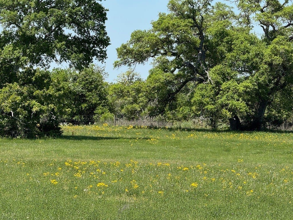 223.56 acres in Fayette County - photo 27