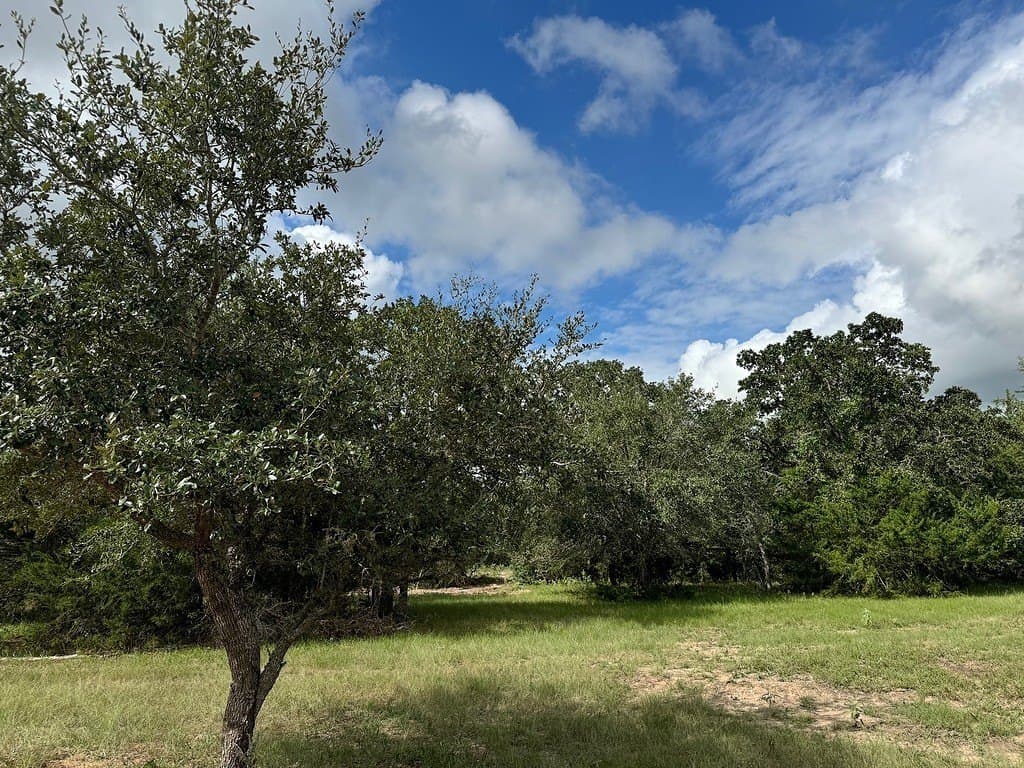 223.56 acres in Fayette County - photo 17