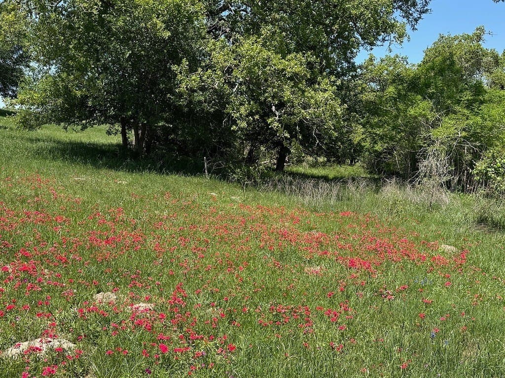 223.56 acres in Fayette County - photo 3