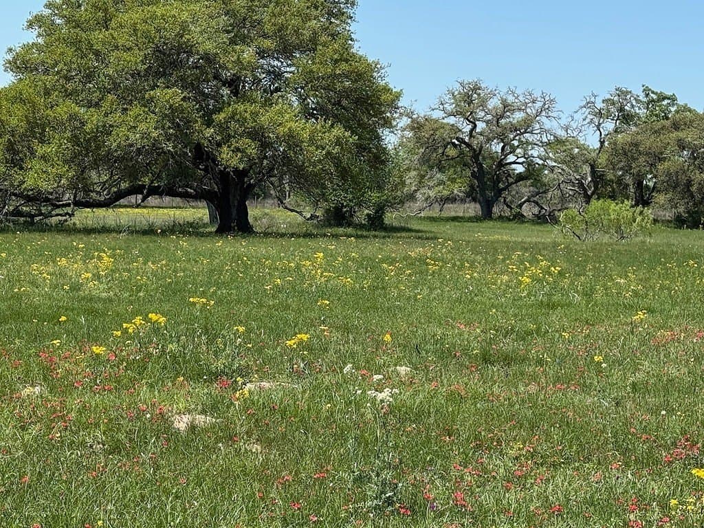 223.56 acres in Fayette County - photo 5