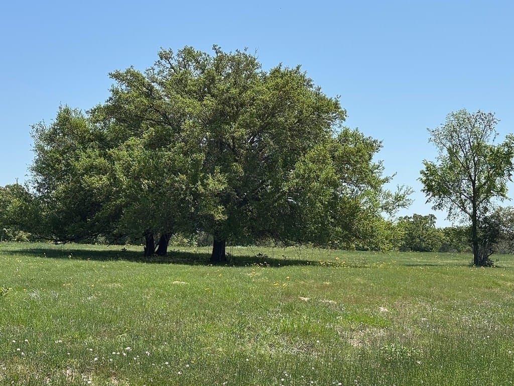 223.56 acres in Fayette County - photo 28