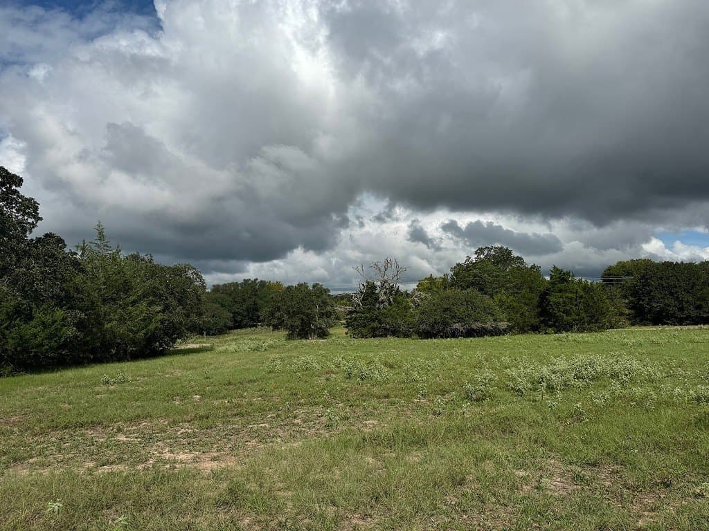 223.56 acres in Fayette County - photo 16