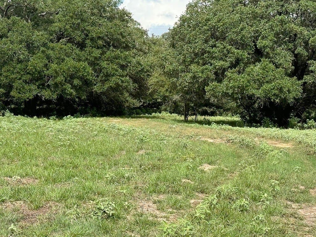 223.56 acres in Fayette County - photo 10