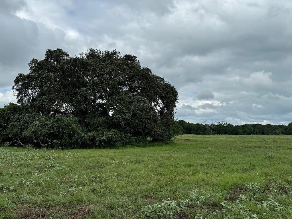 223.56 acres in Fayette County - photo 11