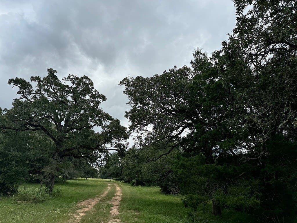 223.56 acres in Fayette County - photo 15