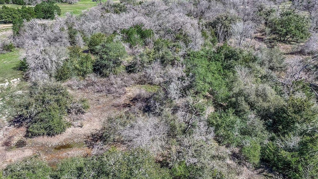 223.56 acres in Fayette County - photo 20