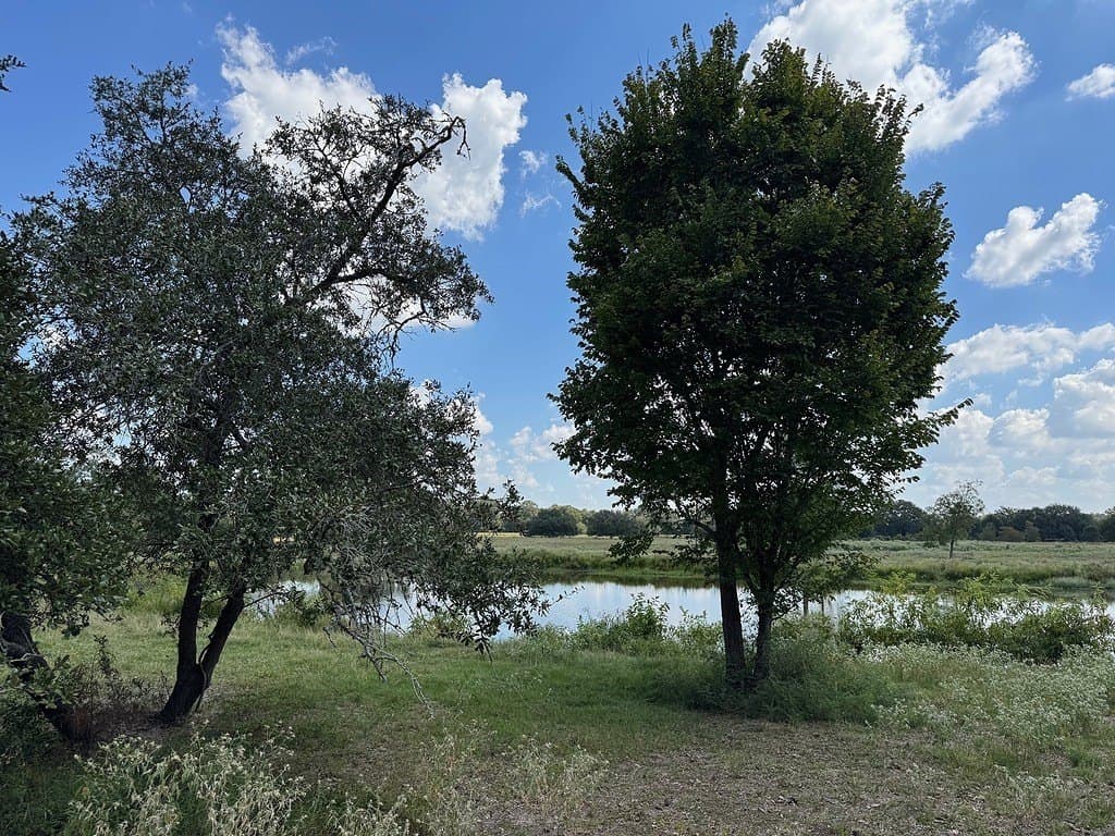 223.56 acres in Fayette County - photo 7