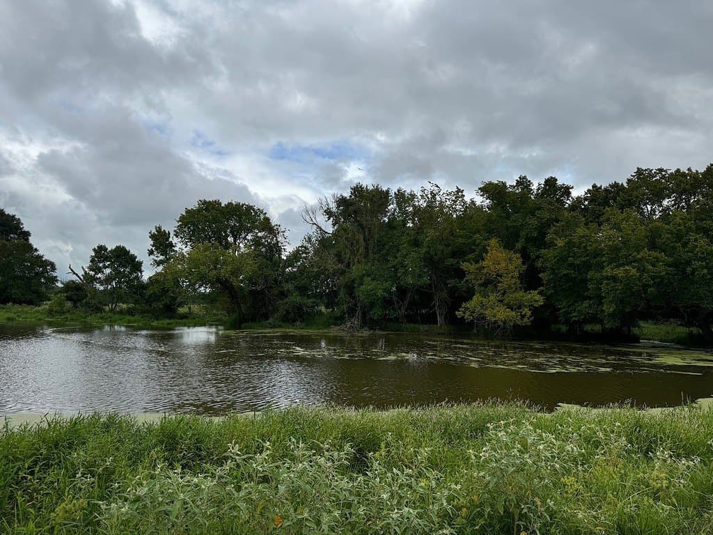 223.56 acres in Fayette County - photo 12