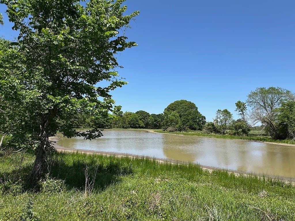223.56 acres in Fayette County - photo 2