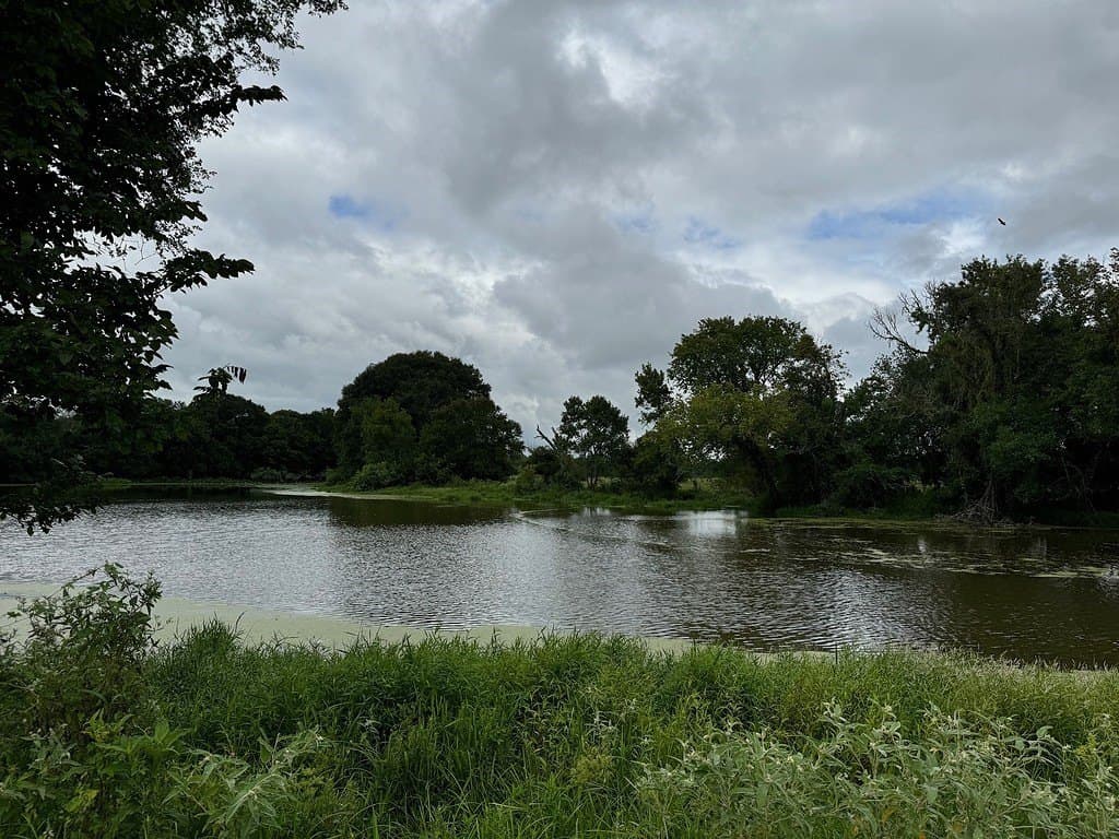 223.56 acres in Fayette County - photo 13