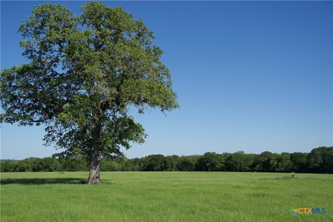 10.43 acres in Bastrop County - photo 2