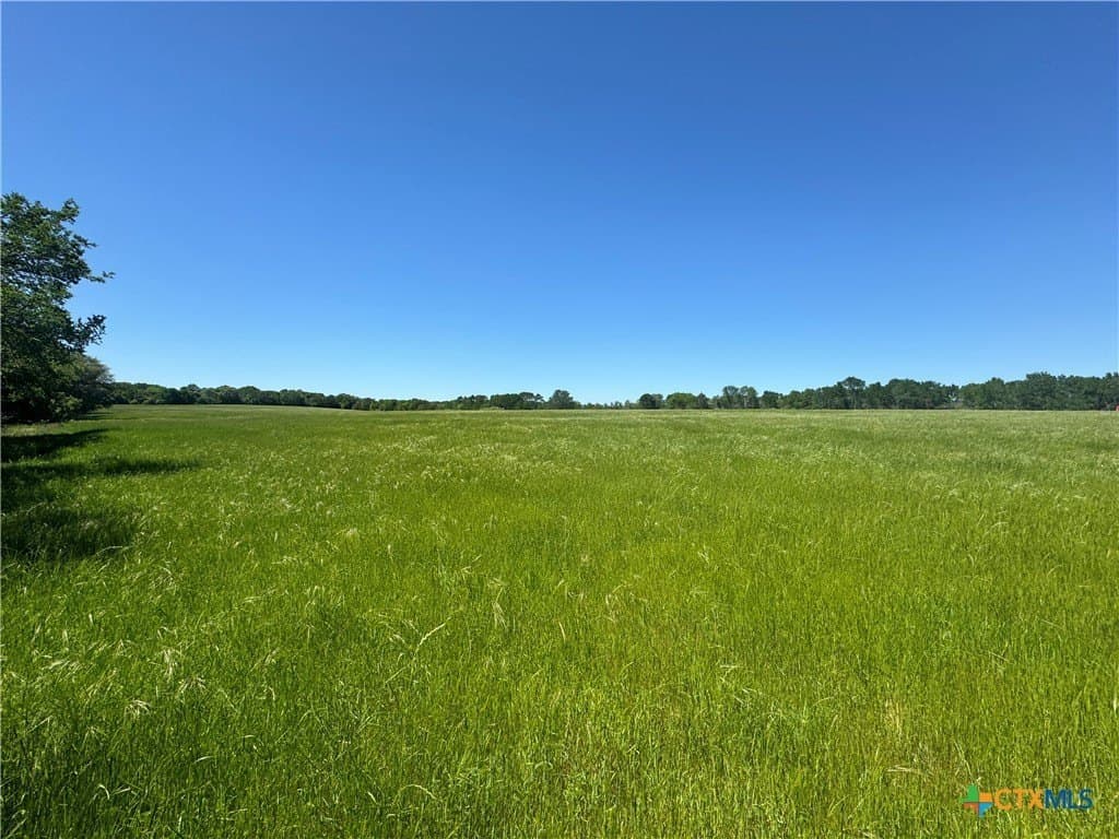 10.43 acres in Bastrop County - photo 7