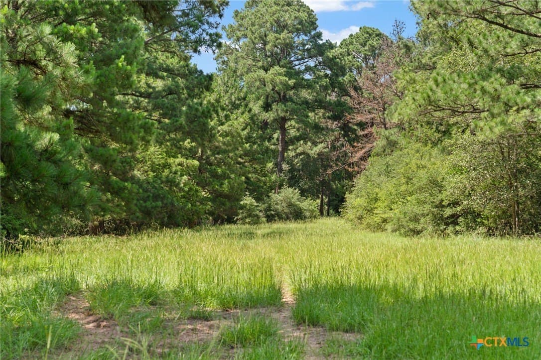 10.43 acres in Bastrop County - photo 5