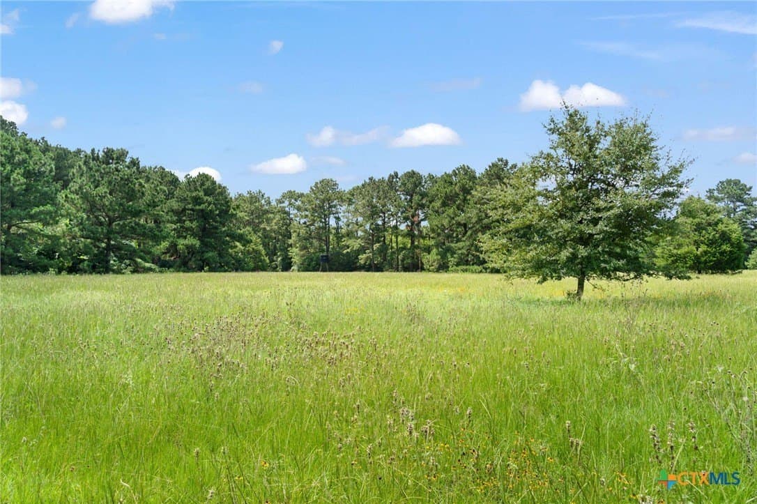 10.43 acres in Bastrop County - photo 6