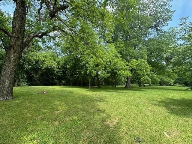 0.24 acres in Dallas County - photo 2