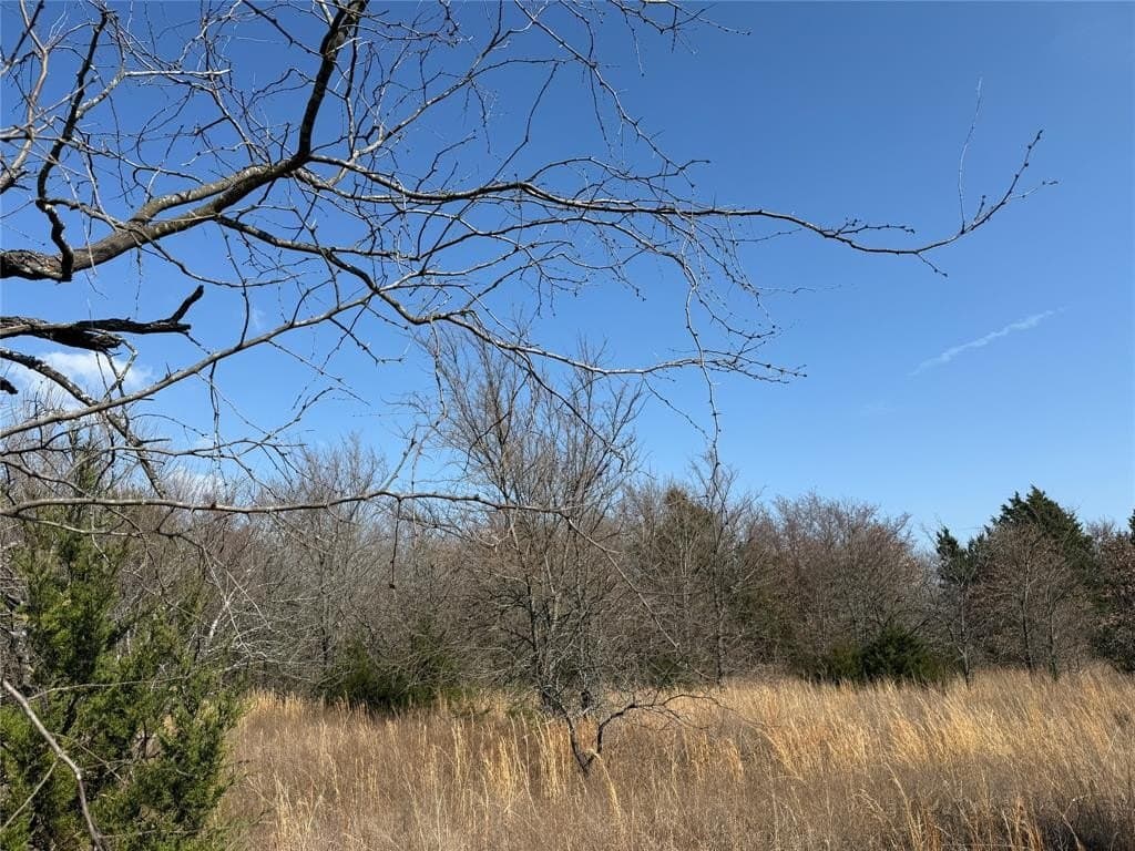 1.01 acres in Navarro County - photo 4