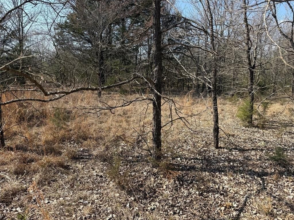 1.01 acres in Navarro County - photo 13