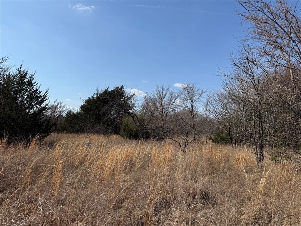 1.01 acres in Navarro County - photo 23