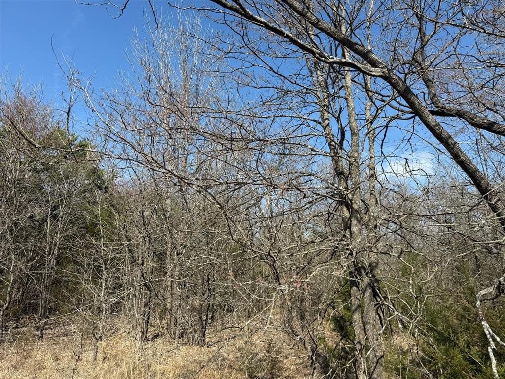 1.01 acres in Navarro County - photo 19