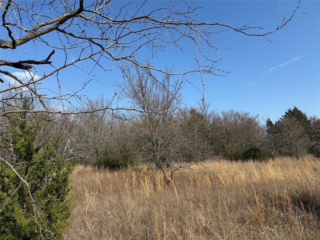1.01 acres in Navarro County - photo 5