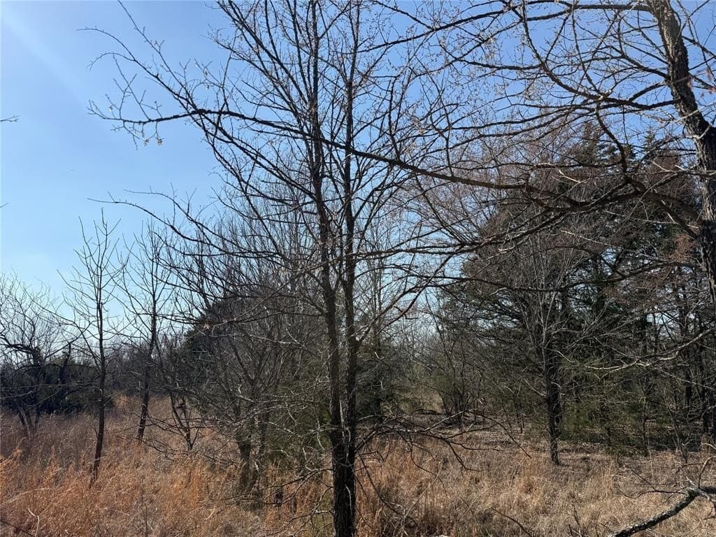 1.01 acres in Navarro County - photo 10