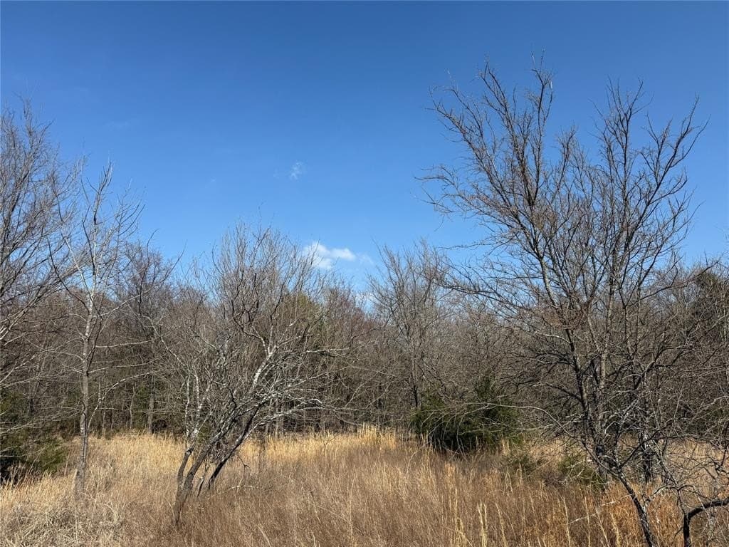 1.01 acres in Navarro County - photo 9