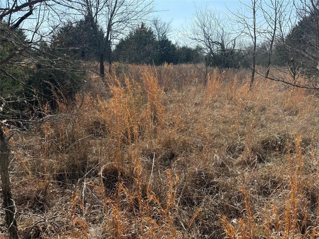 1.01 acres in Navarro County - photo 11