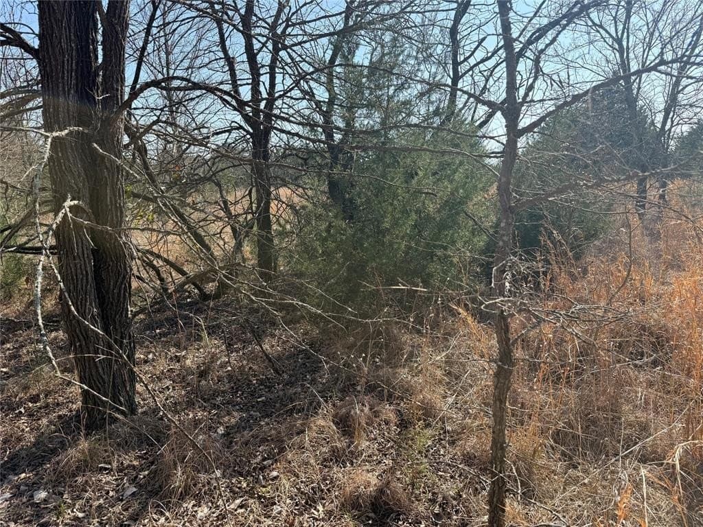 1.01 acres in Navarro County - photo 16