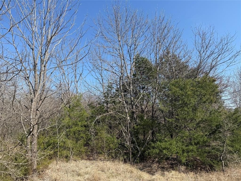 1.01 acres in Navarro County - photo 8
